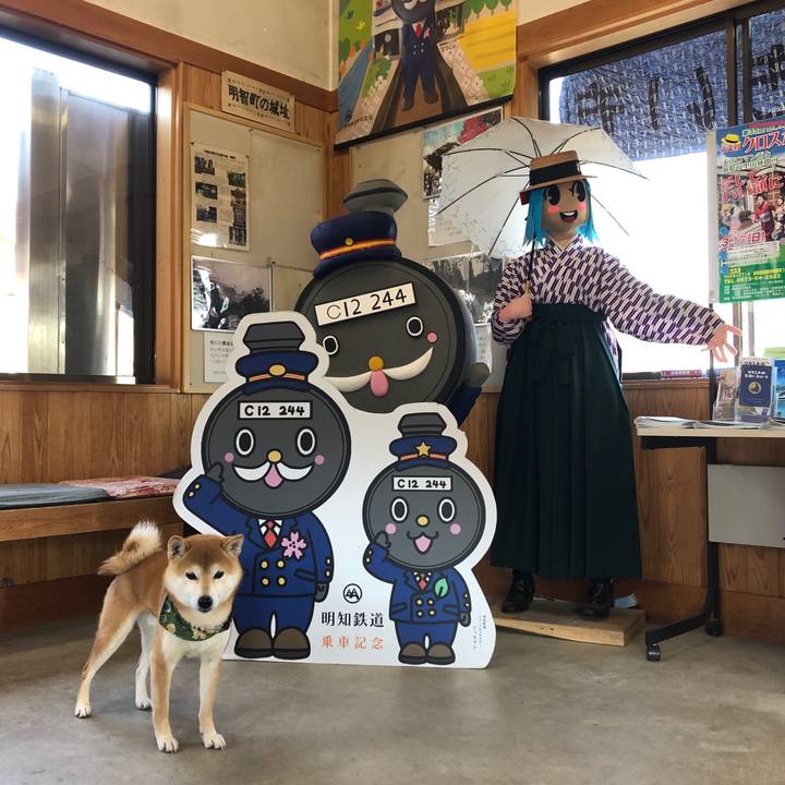 E6dddc1d 8ff9 47bb 8181 60310caf5eae 1548840560390