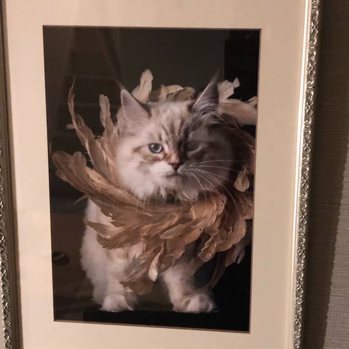 E6ddf598 2fac 430c a3dd 61106fff270a 1678533673721