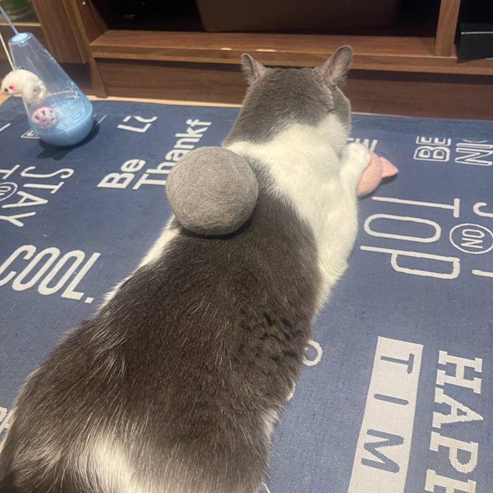 E6de099a 874d 441c 9d74 ce16194dcb46 1714903652974