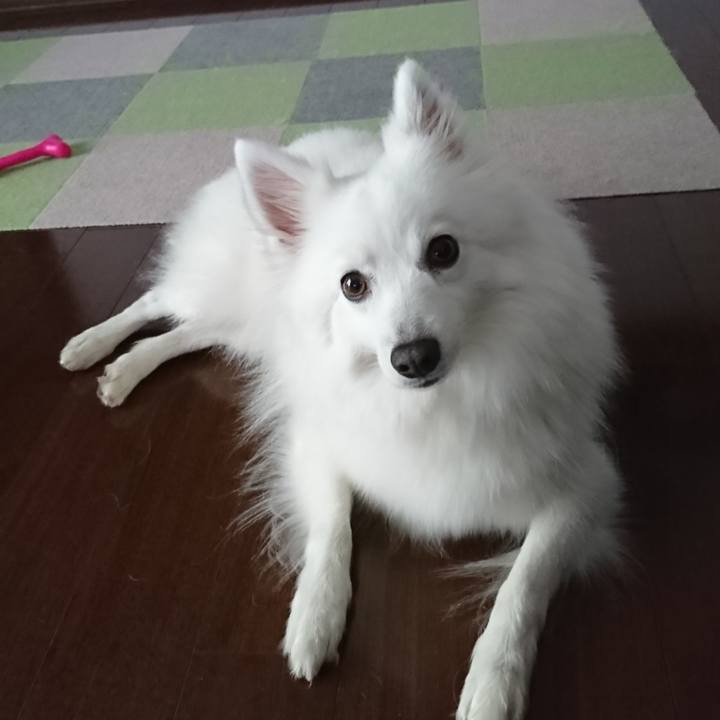 E6de2dab 9b44 4626 a95d 46ae03b3cb8d 1590473238981