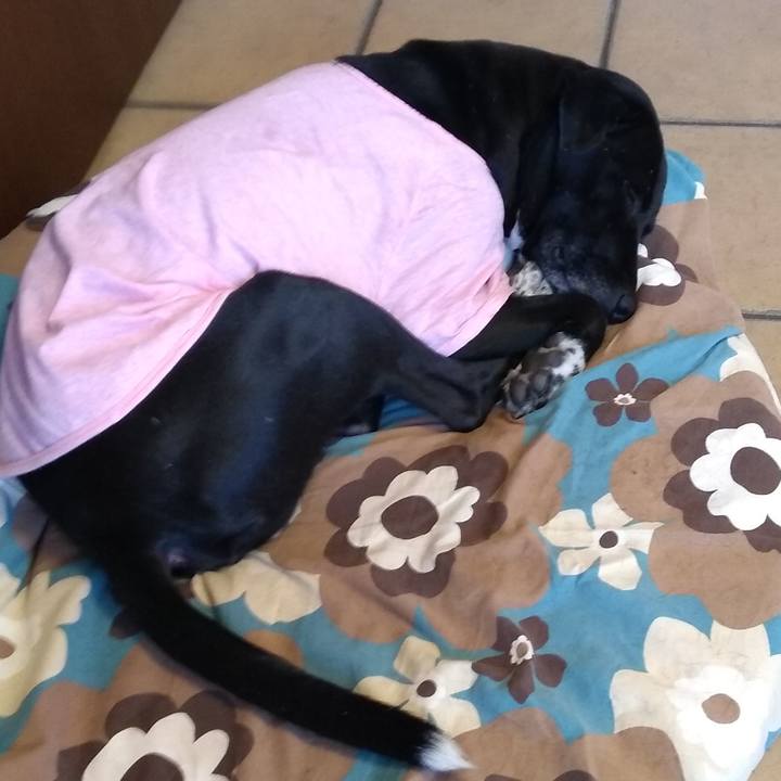 E6de3440 afca 4446 ad30 6fdb766fa6bf 1616583277987