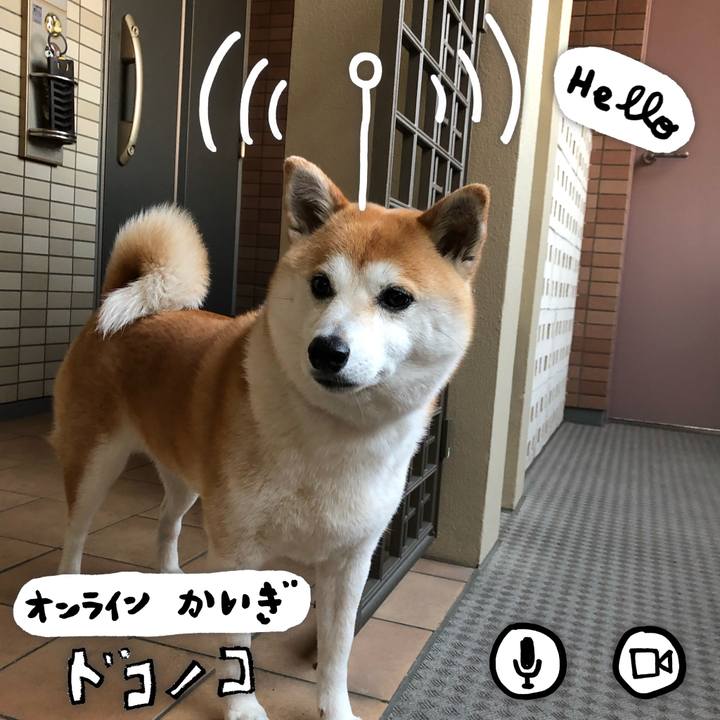 E6de5f67 6b21 40d8 a8fa e796ca5b257f 1590728503318