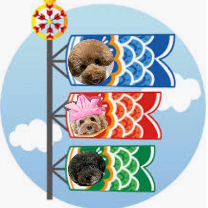 E6de7aaa 3969 46e2 98ac 55c19f394d05 1557040739136