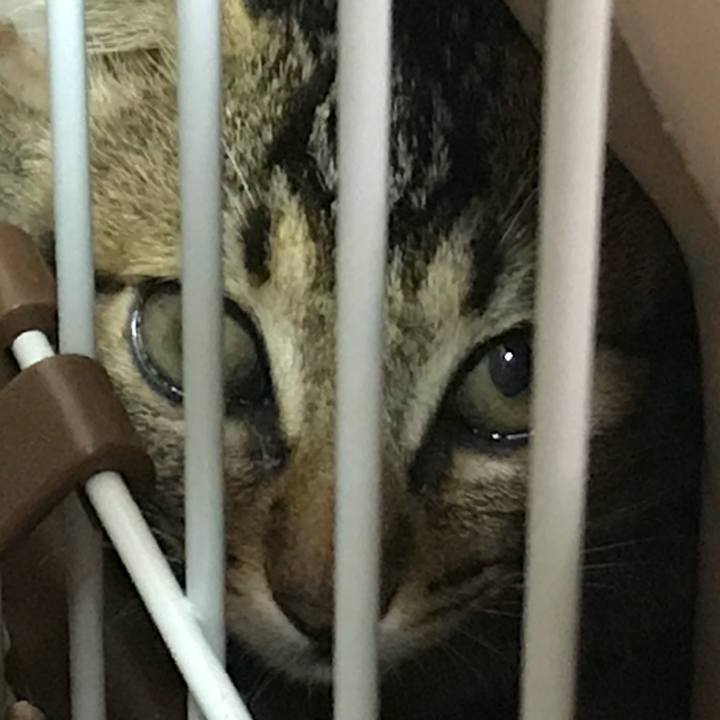 E6de8d66 c43e 41d5 8d69 288242ef489b 1532072253036