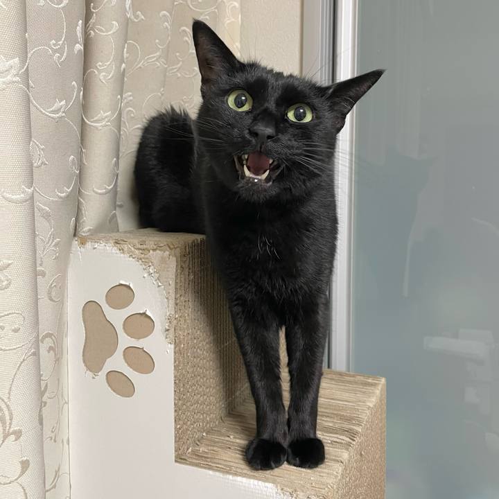 E6ded2ee 09a4 47c2 98dc 8b0010472421 1642509082693