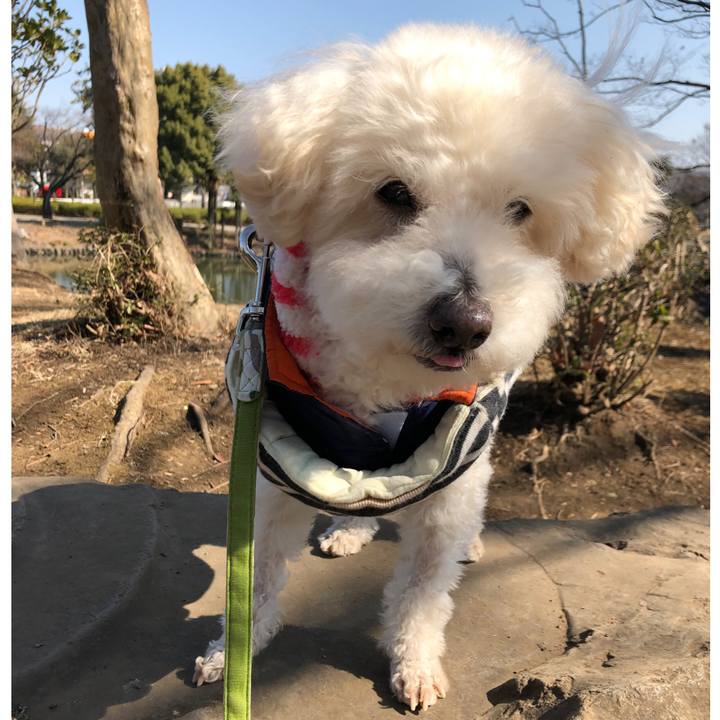 E6df0bc1 0b59 41c8 a12c c8a88bc37bf3 1550844341359