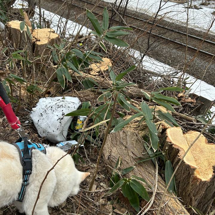 E6df3f84 fa5f 43bf b2ae 9261b3d98d2d 1775084537054