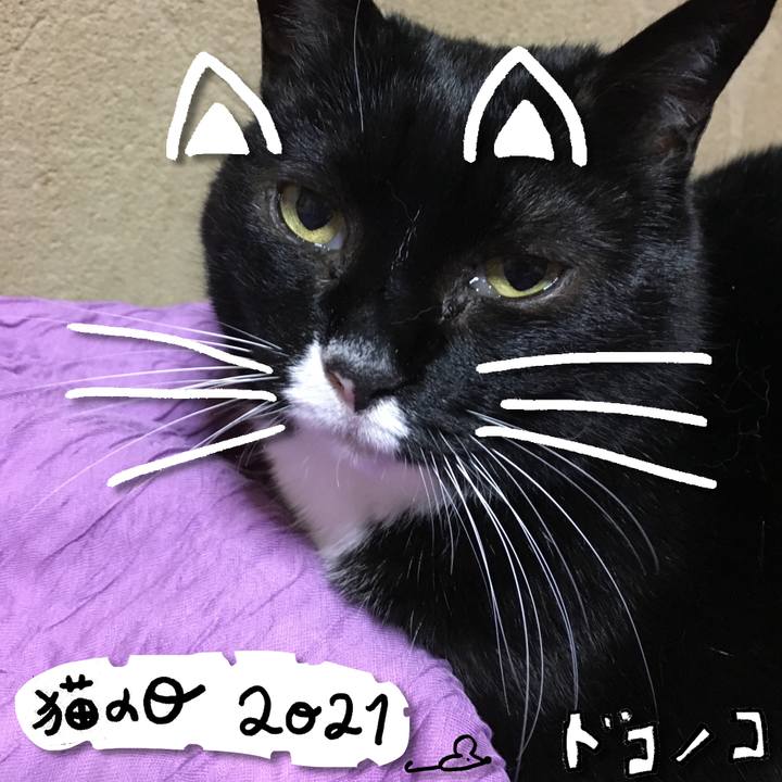 E6df4ce3 0d26 4646 824a a1000d2cde0b 1614002487594