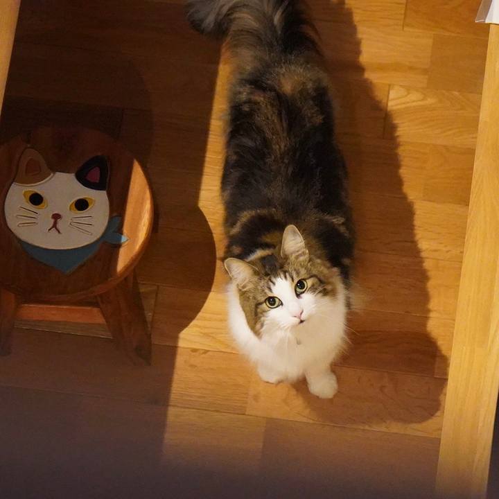 E6df751a 90b7 435d 9e71 9a25dfe70d1a 1606646343368