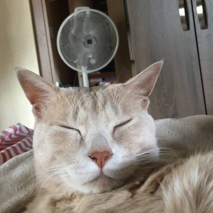 E6df752f abcc 4643 9979 f95f2d1c5b54 1563683384312