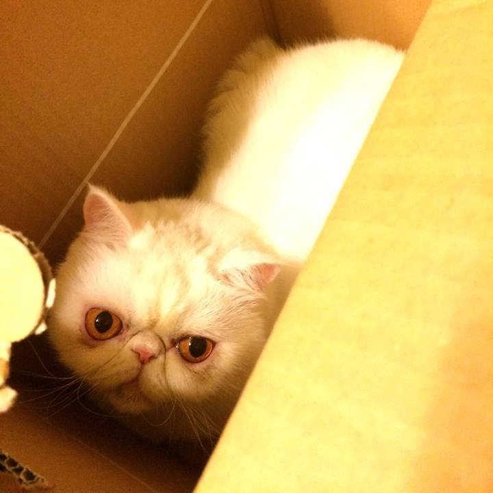 E6df9671 7acc 455b 858f a87ccb1131be 1590061200756