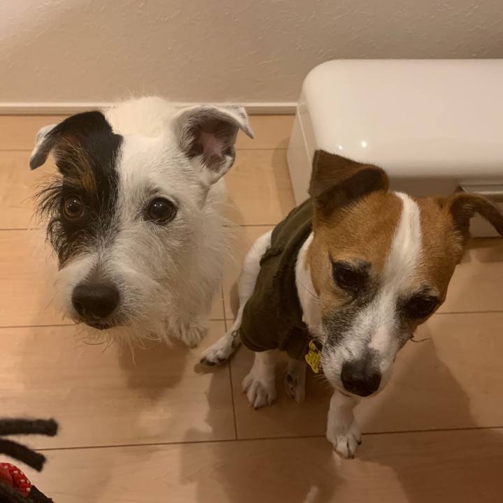 E6dfbe0e e6c3 47c8 ac59 1255fb26cfdb 1572691469952