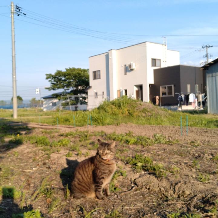 E6dfbf0b cabd 408f 8520 608a2ad30dd2 1686128410433