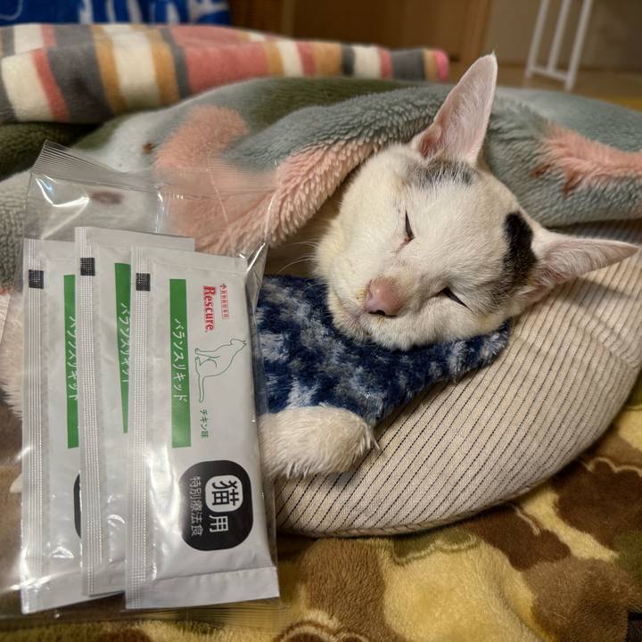 E6dff004 3072 4f16 9e94 2c921fdeaab7 1771578610477