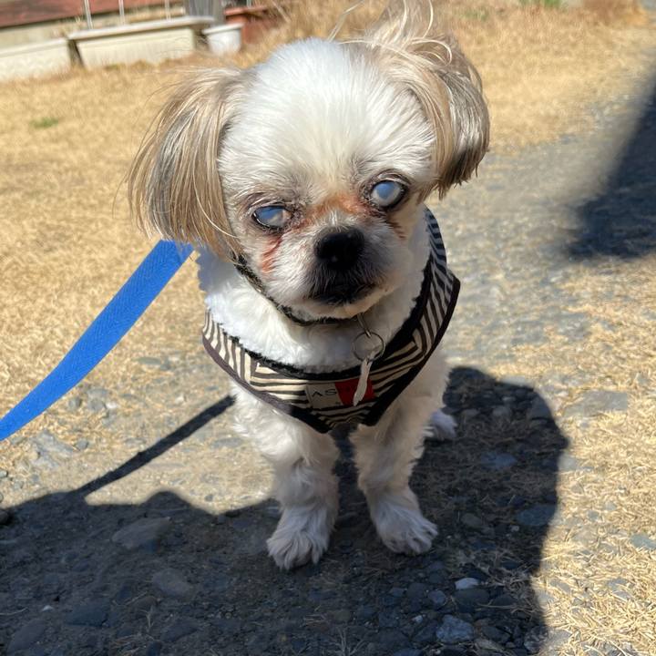 E6e01f1e ee9b 4711 bed0 b334c28f430c 1738127217623