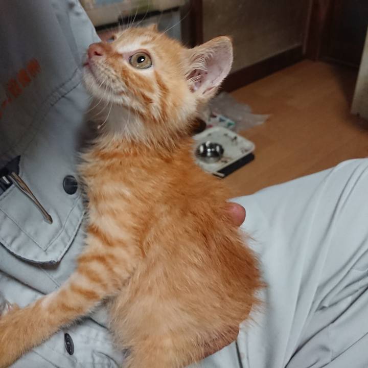 E6e0279a 57da 4083 8730 9028152e4c96 1627781910323