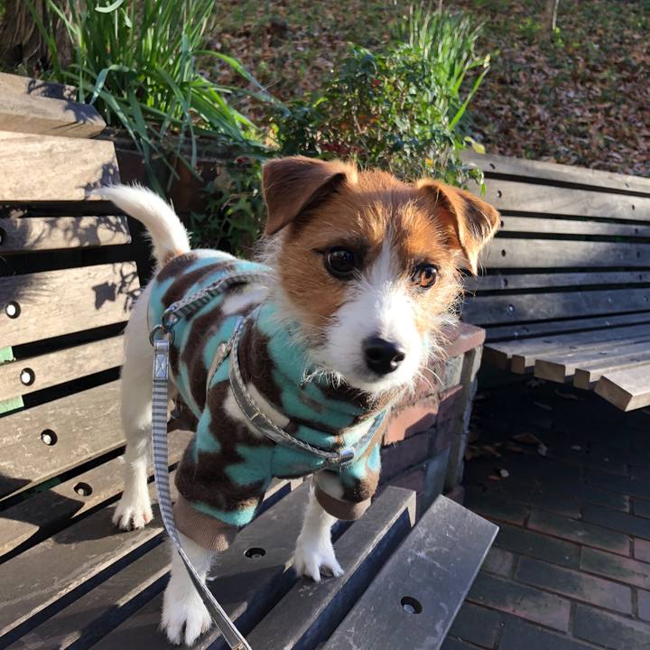 E6e06133 7131 4e78 95a8 5fa80f4f8f2f 1571562502671