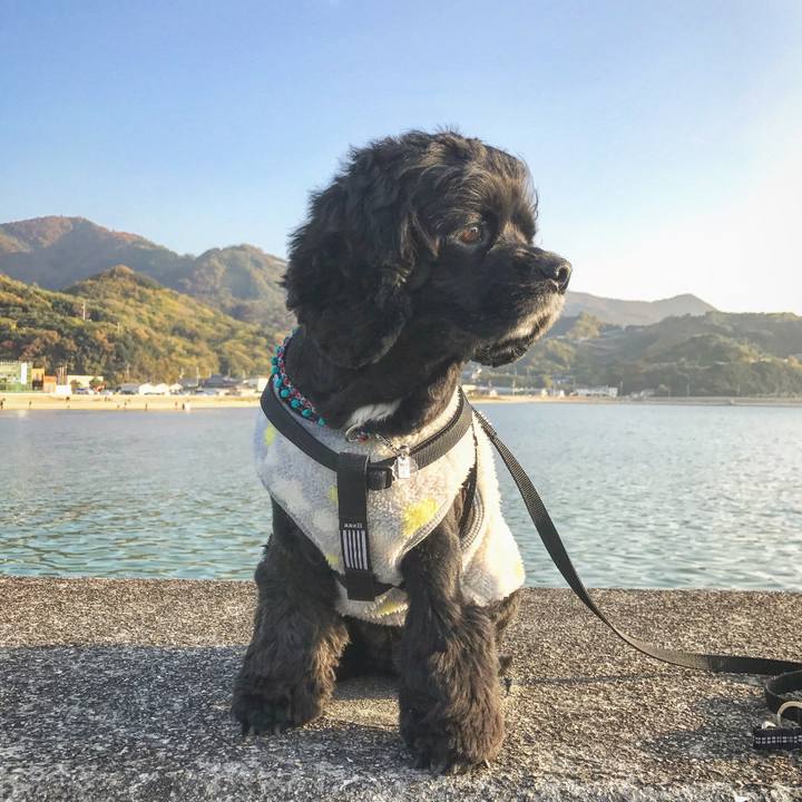 E6e091b0 fc96 4c4b 9fdc d84e27780687 1543982275625