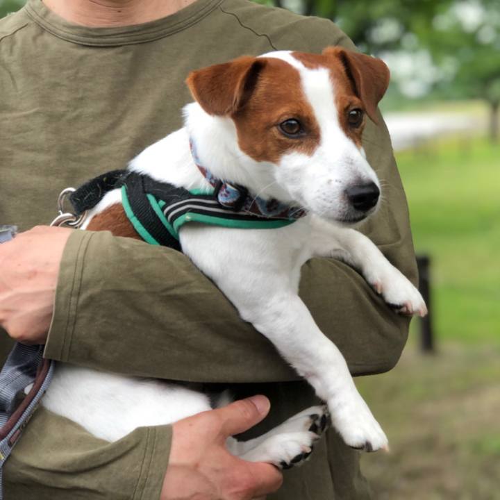 E6e0acc4 2f08 49c5 8fd9 3745e03d63a3 1592731328275