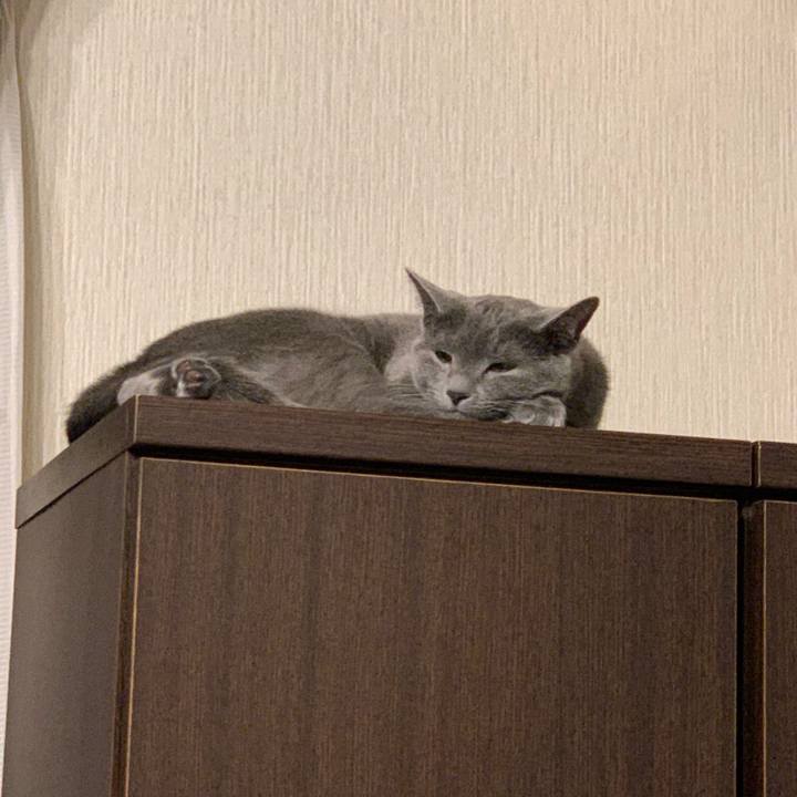 E6e0cb89 a5a3 4b56 9060 005dc4a3c3bc 1581195363333