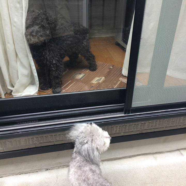 E6e0df7b 88ac 4f9d b8cb f9e65bf501f7 1520730626129