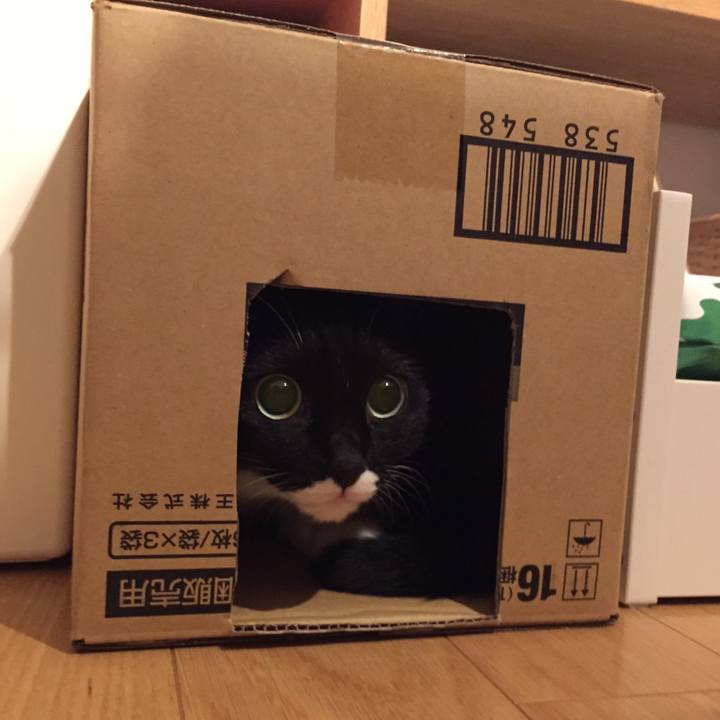 E6e10fd1 4ccc 4a90 bf7f 5997661bc6ce 1507864447955