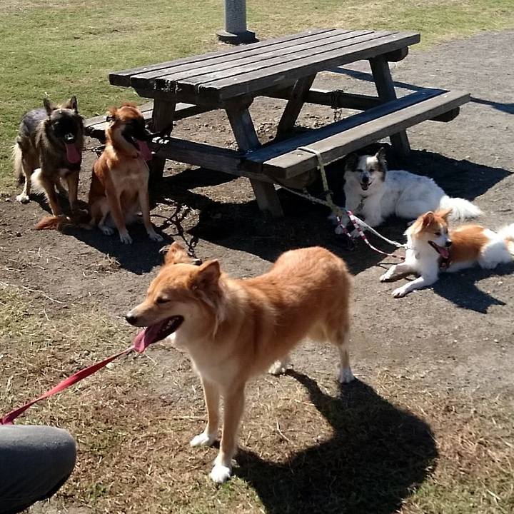 E6e12229 2705 467b 8904 b4b0f9aa88bd 1538999900182