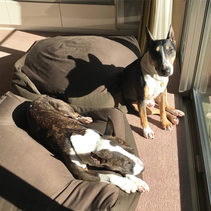 E6e16c91 48a8 4ce1 8a42 4945f47969e6 1515731266989