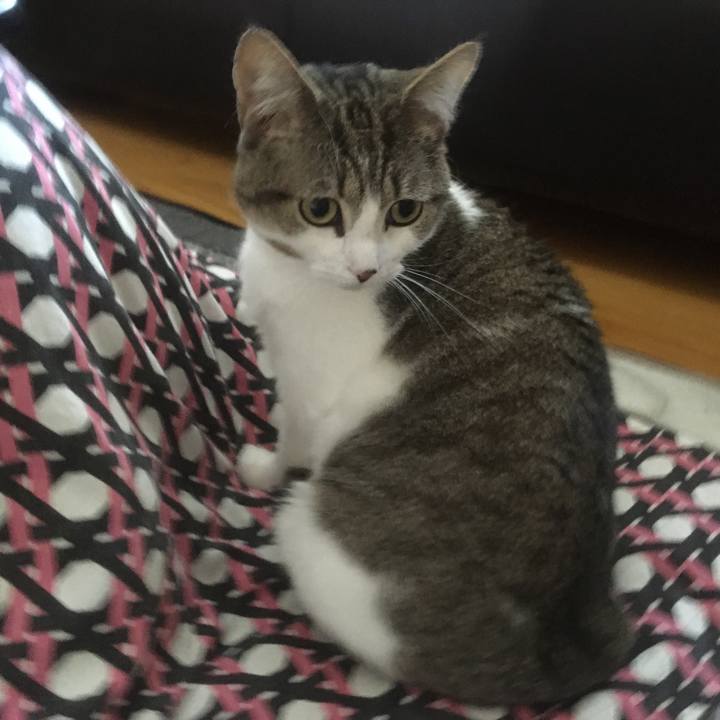 E6e17ce9 8cd4 48db a6d8 021b6ba38a75 1617413737565