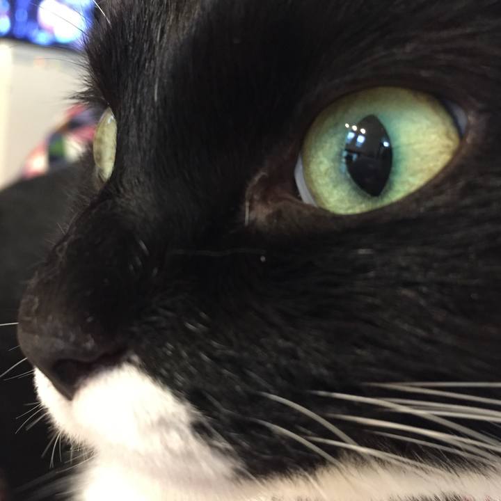 E6e19f39 2cae 4405 960e 7eb5412de3a8 1508544529266