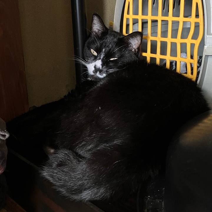 E6e1b22a b6f9 4b62 87bc cdf8247a3f10 1765781044973