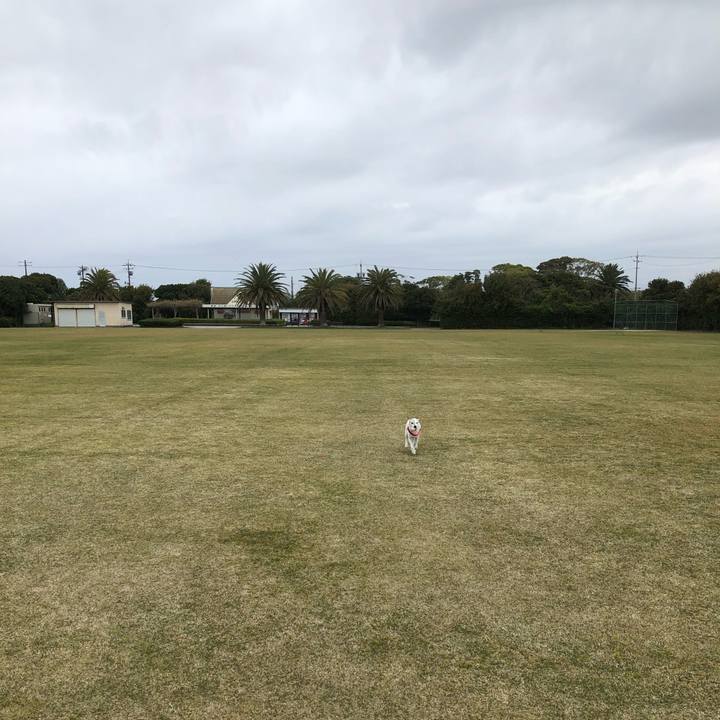 E6e1c174 719e 472e 9d6c e40a0652f150 1522991659473