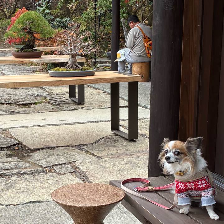 E6e1c179 c2c1 400c 9693 e801bee8e07d 1764514162279