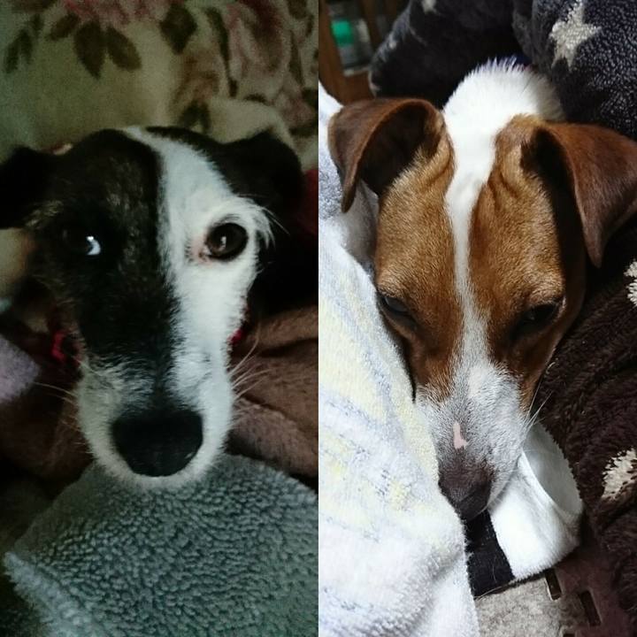 E6e1ec33 89a9 4703 8bdb 776d2dc3c8c1 1543094928421