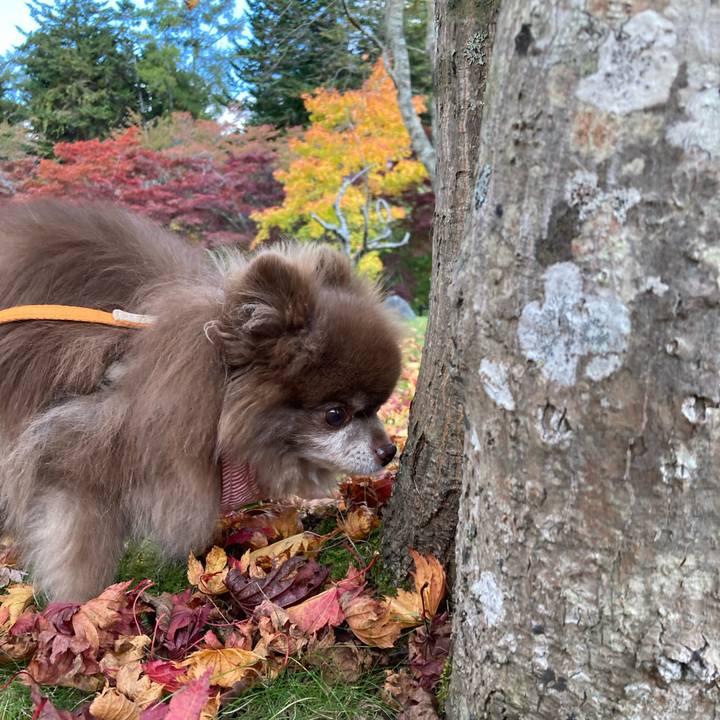 E6e1f2c8 725a 46a4 8e4e b09943caa723 1698299335349