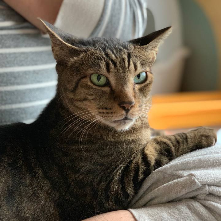 E6e23cf2 6f16 4a14 bc0a fe48cf62b68a 1538790322097