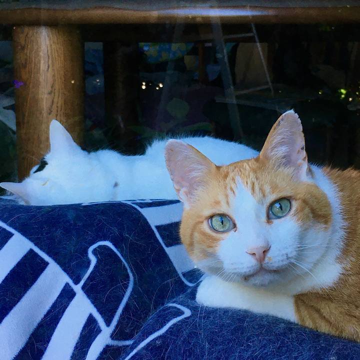 E6e27b31 f0d3 452e b656 134ff9915274 1592384483456