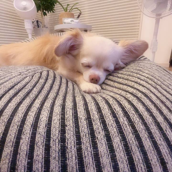 E6e2936a 48a1 4487 a214 eba2f2ed6995 1750597023814