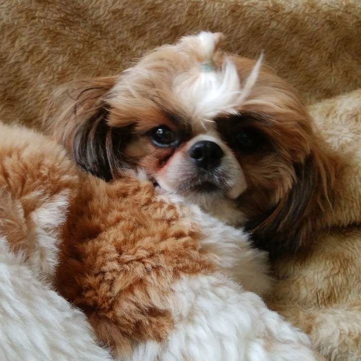 E6e29391 a78a 4a94 adc3 93b6dc17e2cb 1561255018551