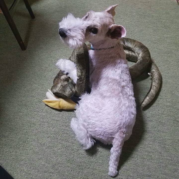 E6e29728 9531 4ce8 91c6 bf6f7c46ccfd 1540821475066