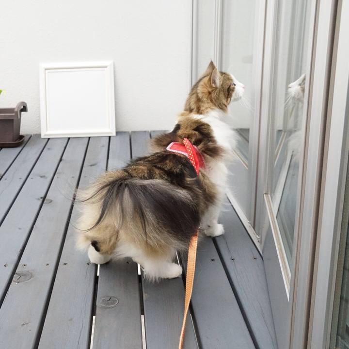 E6e2a6b3 b0cf 4b45 ab04 78f8f278c1df 1562726469888