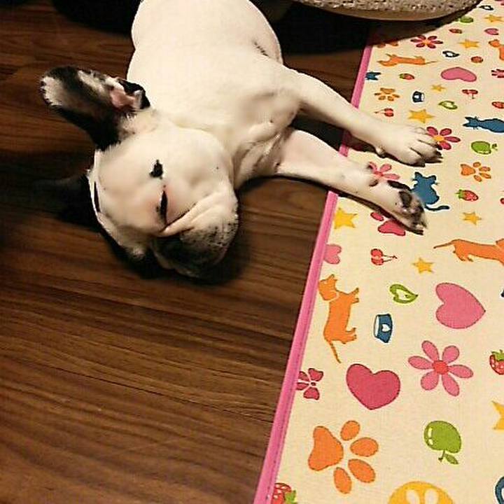 E6e322a1 33db 403e 94e3 49711f92b70f 1510493554523