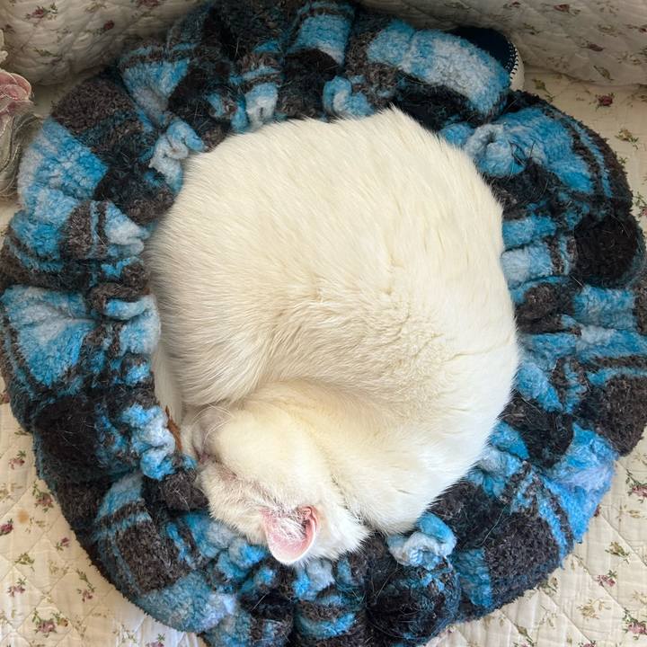 E6e36820 bca3 435f 8f20 ea1bf303bc58 1740135810186