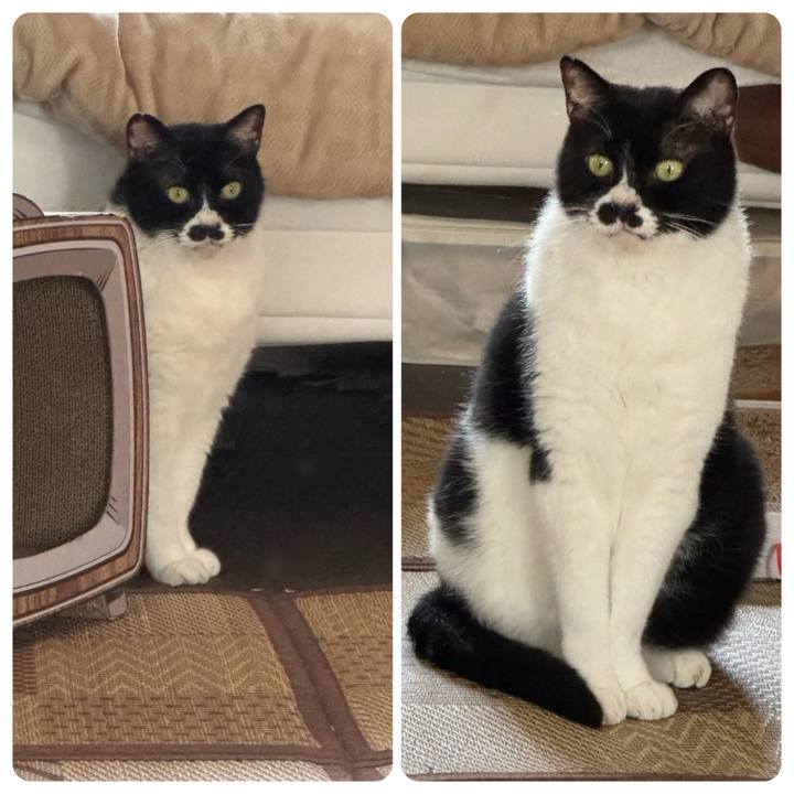 E6e38ef6 62c1 46d6 baf4 5c818d120af8 1744417484487