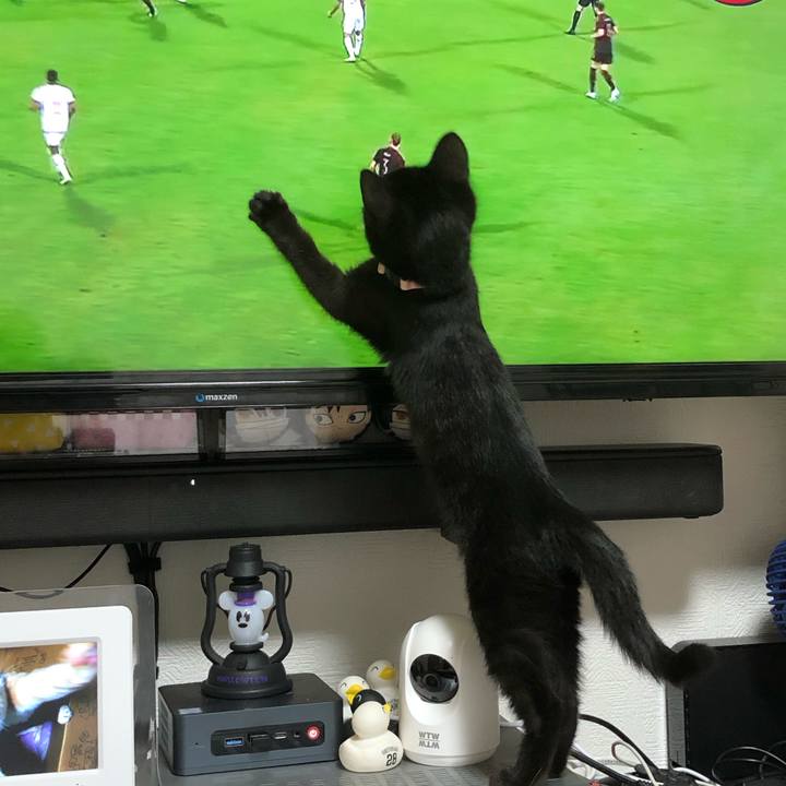 E6e3b9c5 e21c 48b9 8009 ec7efd7a0cc0 1669162158512
