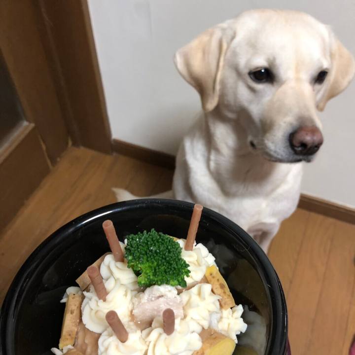 E6e3db0e dd8d 4139 b702 37c42b99f46a 1574682816407