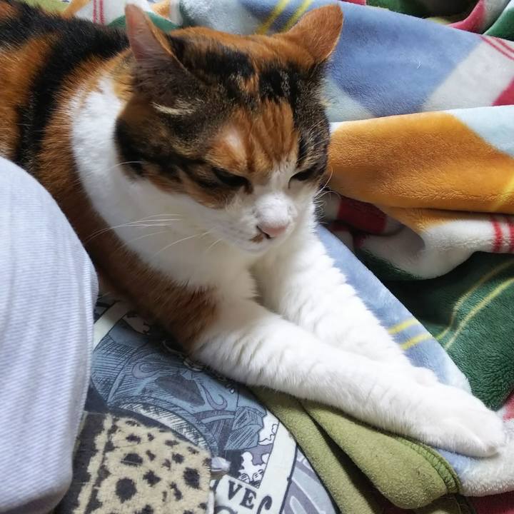 E6e404b7 63f4 4d58 a3ae 20a3c344e983 1570876778882