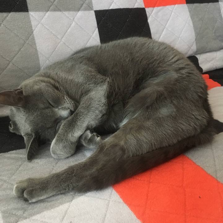 E6e43215 3209 49c0 8774 565885a6c2a9 1645457553354