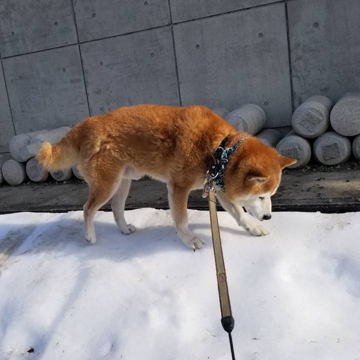 E6e43c68 b9d4 4d23 9e00 a7e2cc45765f 1702181178764