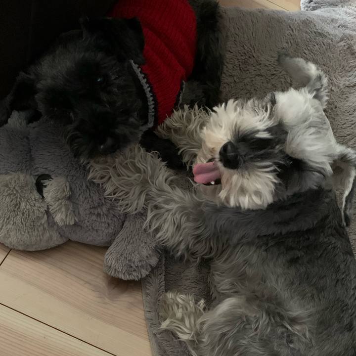 E6e469d0 2c65 4a51 98cc 74049b3f659f 1642135839424